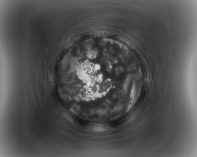 X0000086260663200704122011