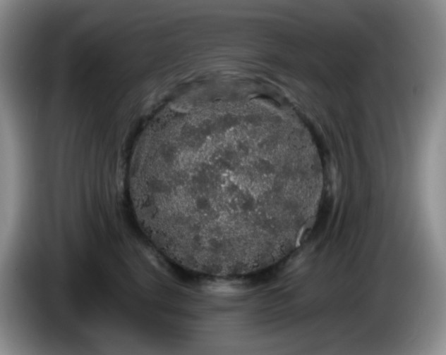 X0000086260664200704122011