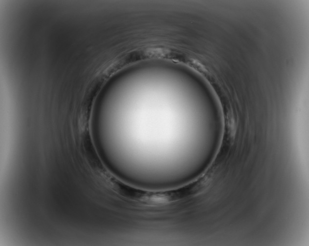 X0000086260665200704122011