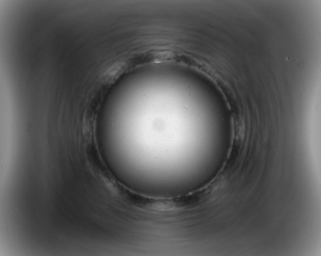 X0000086260666200704122011