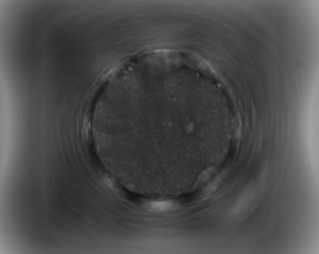 X0000086260669200704122011