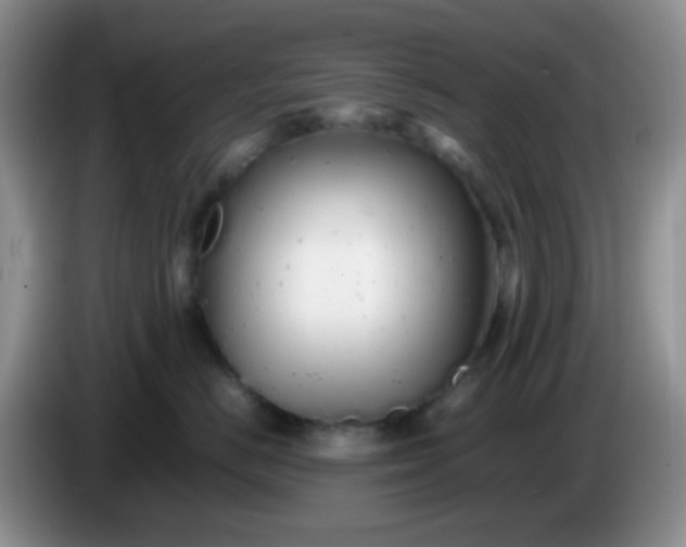 X0000086260670200704122011