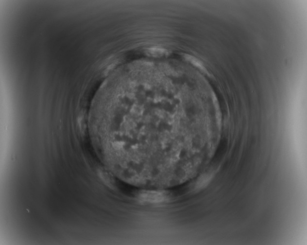 X0000086260671200704122011