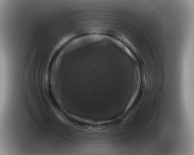 X0000086260674200704122011