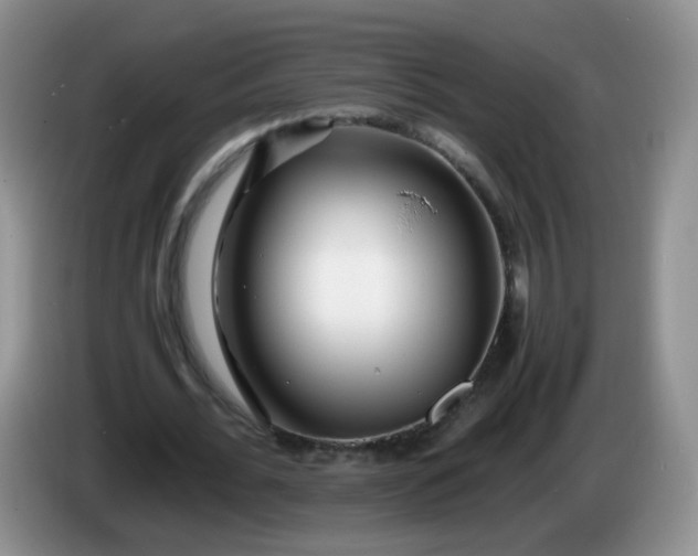 X0000086260676200704122011