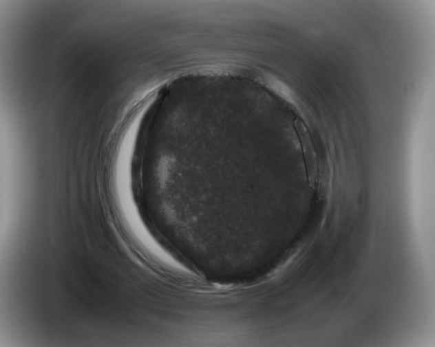 X0000086260677200704122010