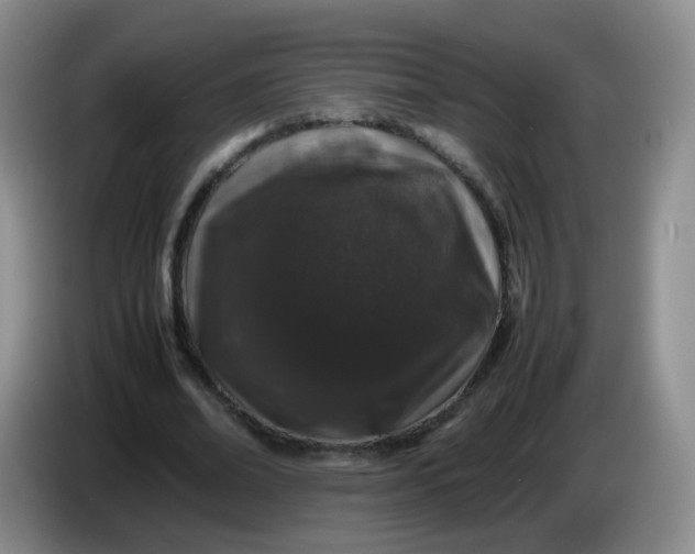 X0000086260678200704122010