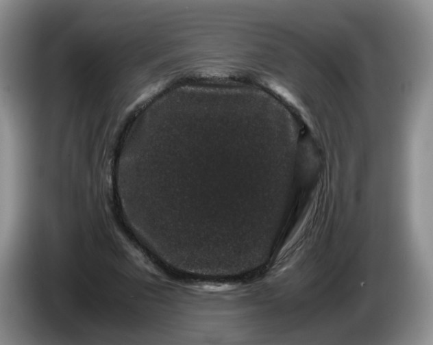 X0000086260681200704122010