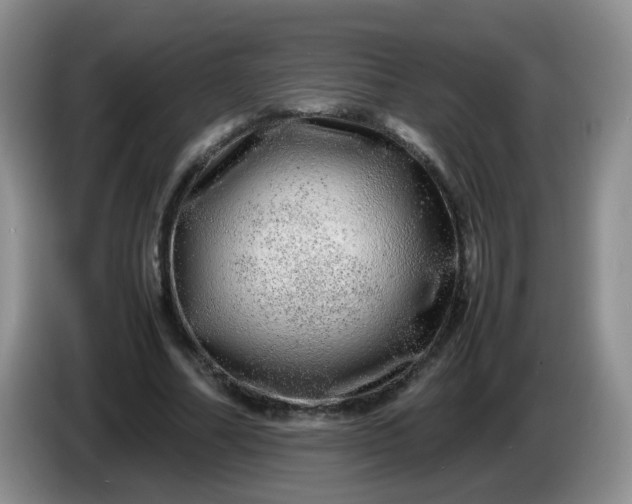 X0000086260682200704122010