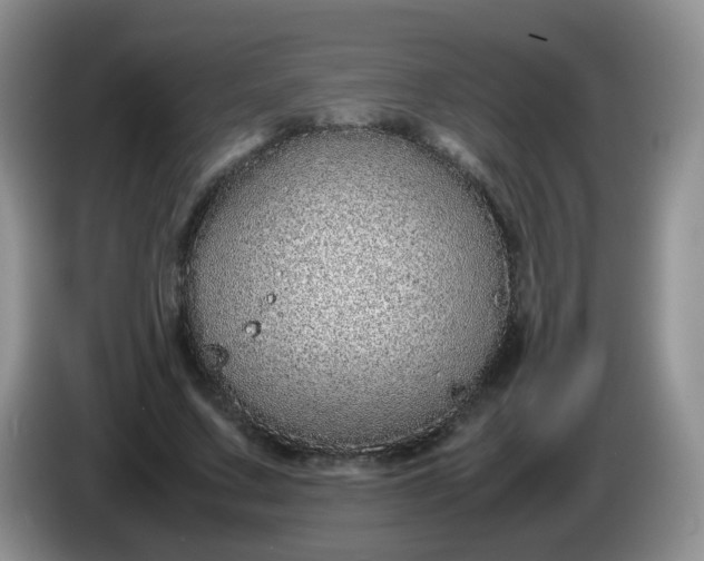 X0000086260683200704122010