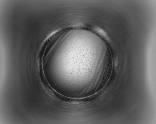 X0000086260684200704122010