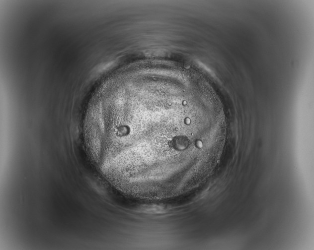 X0000086260687200704122010