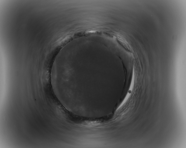X0000086260689200704122010