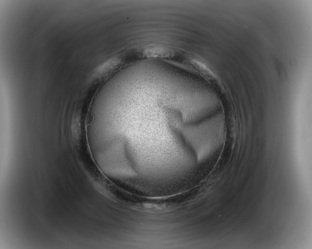 X0000086260690200704122010