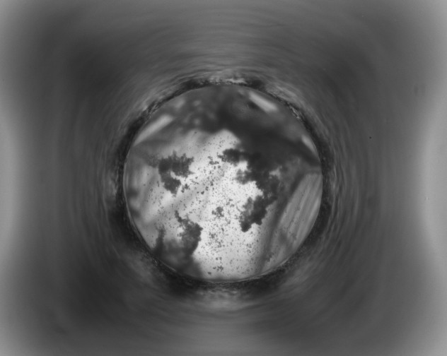 X0000086260691200704122010