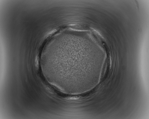 X0000086260692200704122010