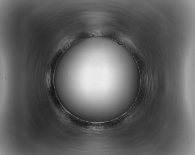 X0000086260694200704122010