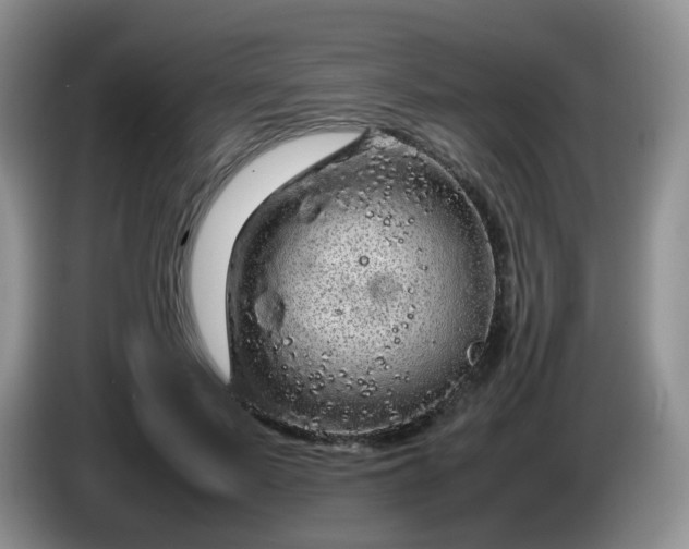 X0000086260695200704122010