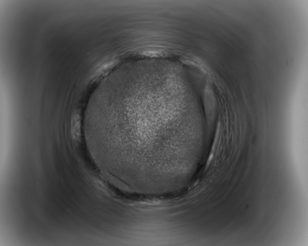 X0000086260696200704122010