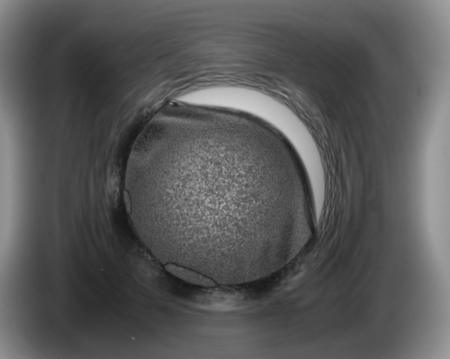 X0000086260697200704122010