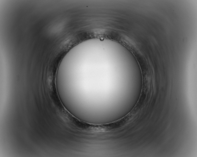 X0000086260698200704122010