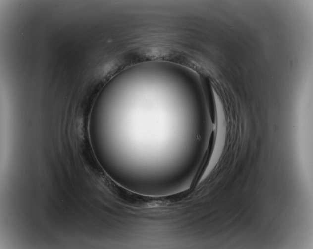 X0000086260700200704122010