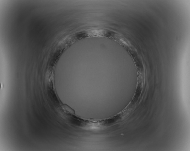 X0000086260701200704122010