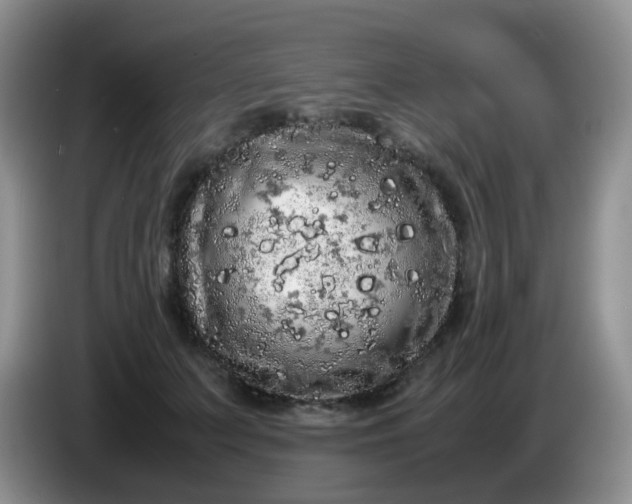 X0000086260703200704122010