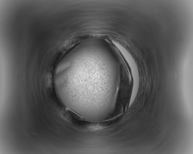 X0000086260704200704122010