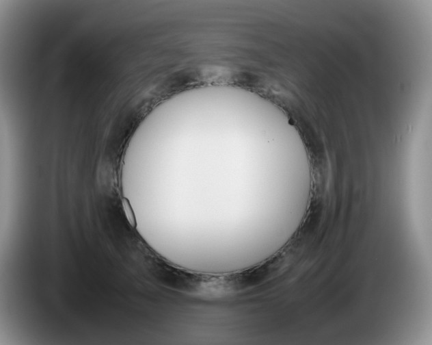 X0000086260705200704122010