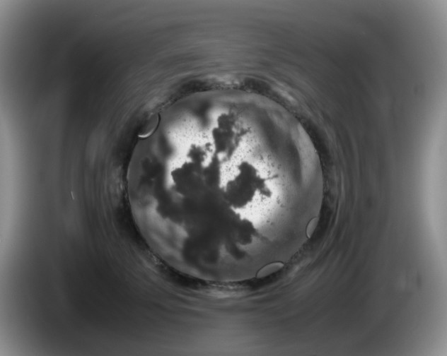 X0000086260707200704122010