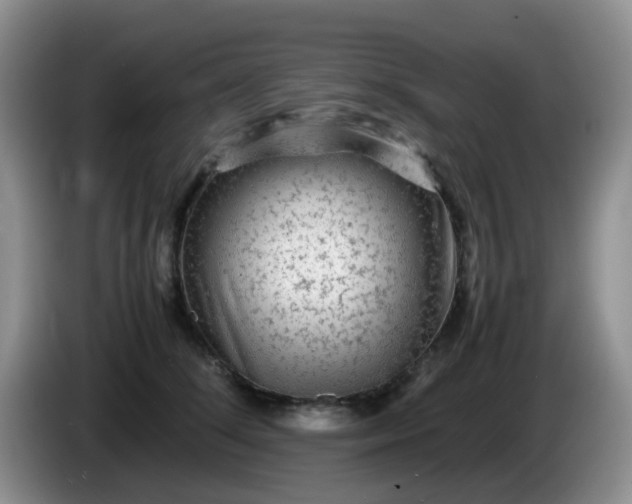 X0000086260708200704122010