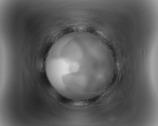 X0000086260709200704122010
