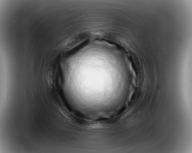 X0000086260710200704122010