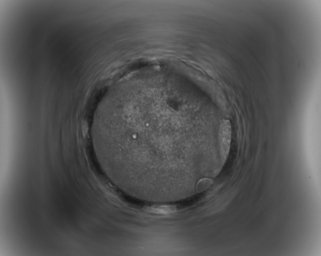 X0000086260711200704122010