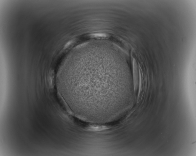 X0000086260712200704122010