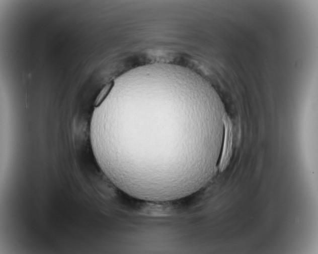 X0000086260713200704122010