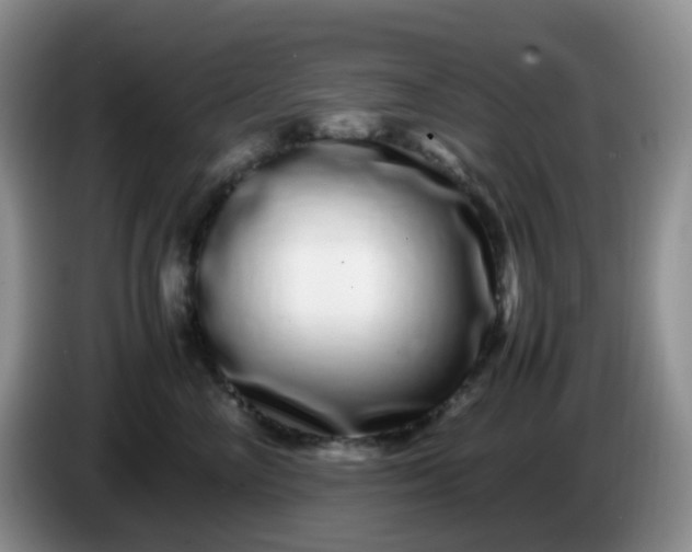 X0000086260714200704122010