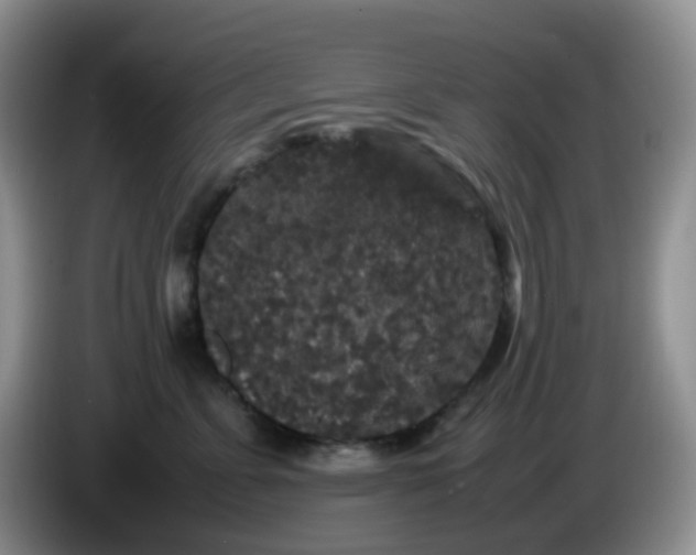 X0000086260715200704122010