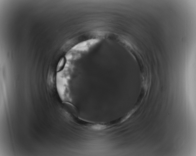 X0000086260718200704122010