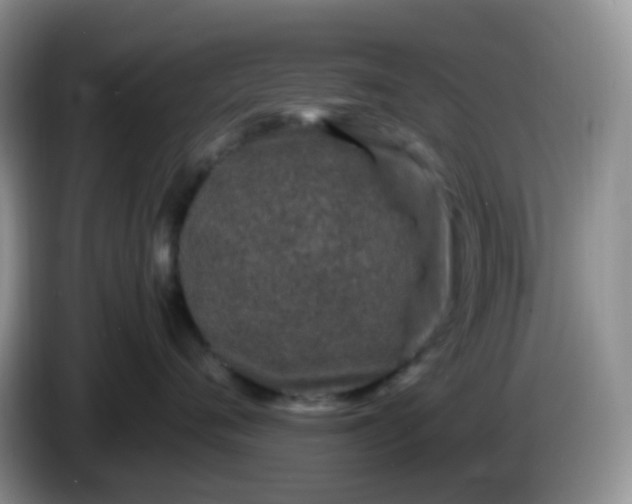X0000086260720200704122010