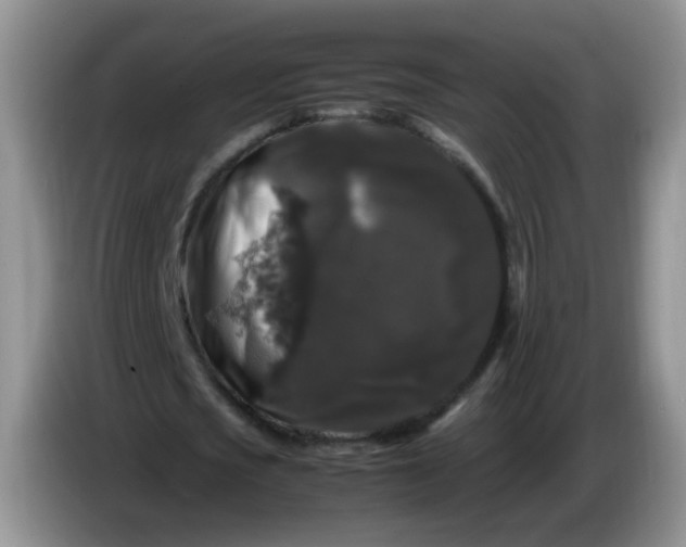 X0000086260721200704122009