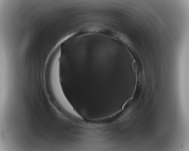 X0000086260722200704122009