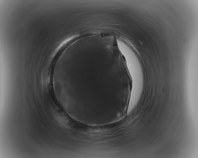 X0000086260723200704122009