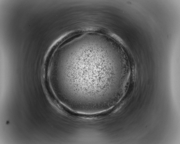 X0000086260726200704122009