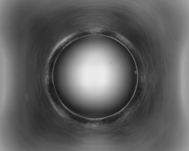 X0000086260728200704122010