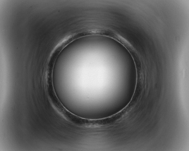 X0000086260730200704122010