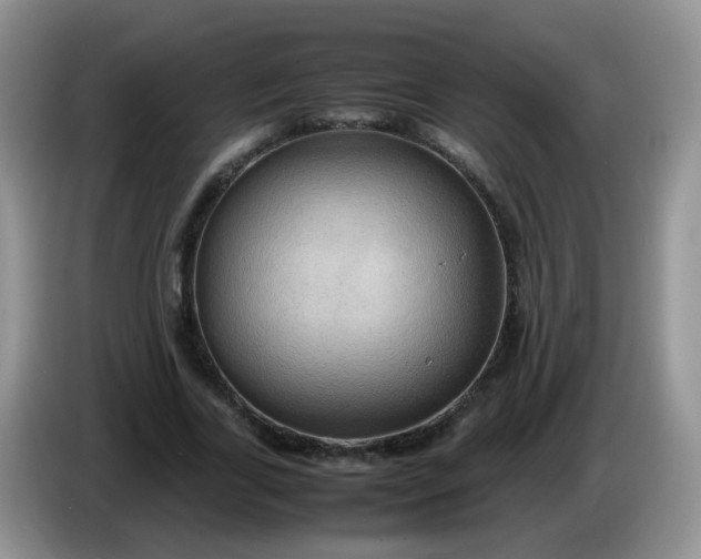 X0000086260731200704122010