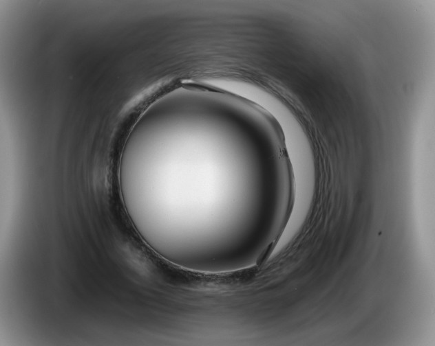 X0000086260732200704122010