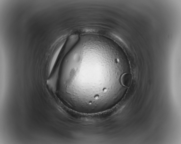 X0000086260733200704122010
